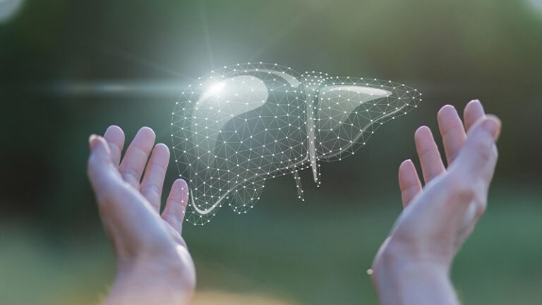 Enzimi Jetre: Važnost i Funkcija